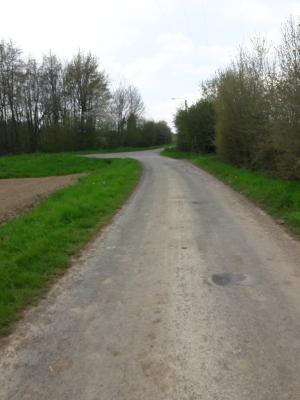 Photo 25