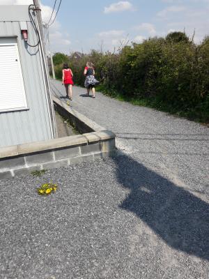 Photo 42