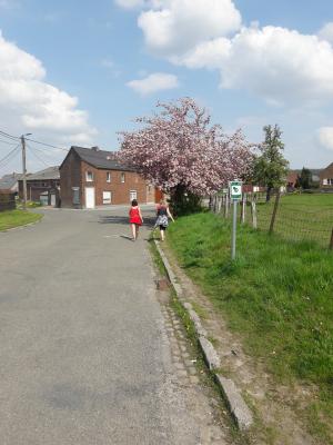 Photo 48